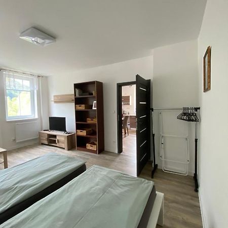 Apartmany U Viaduktu 46 Uście nad Łabą Zewnętrze zdjęcie