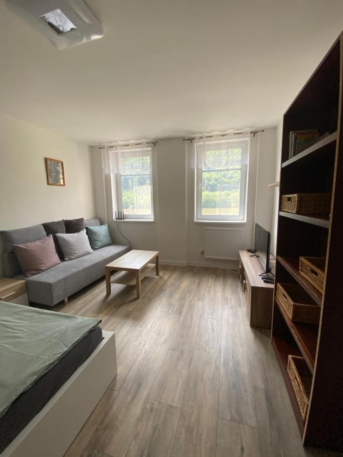 Apartmany U Viaduktu 46 Uście nad Łabą Zewnętrze zdjęcie